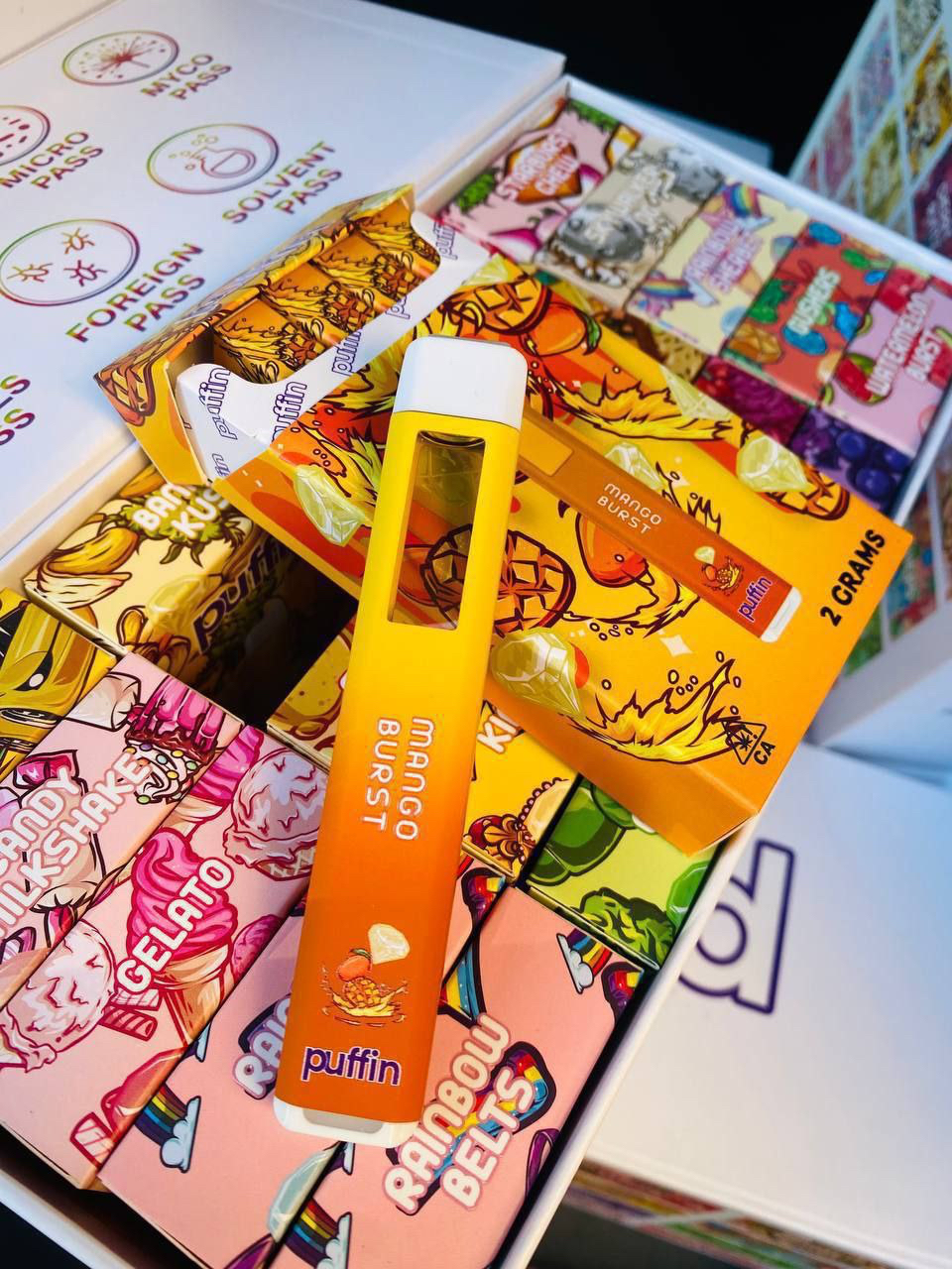 IMG_567DAF6A2745-8 Puffin DisposableS