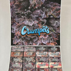 crumpet disposables